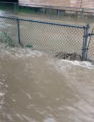 More Rain Causes More Problems