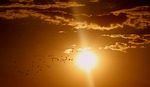 Heat Wave Hits The Area
