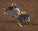 North Washington Rodeo Gets Underway