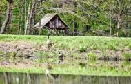 Butler Twp. Moving Forward With Preston Park Renovations