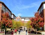 IUP Announces Restructuring Plans